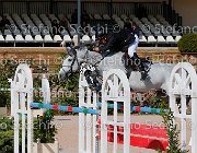 Casadei My Forever GioCav2013 S5 1681 : Campionati Italiani Giovani Cavalli, Casadei Mirco, Cattolica, My Forever, ph Stefano Secchi ©